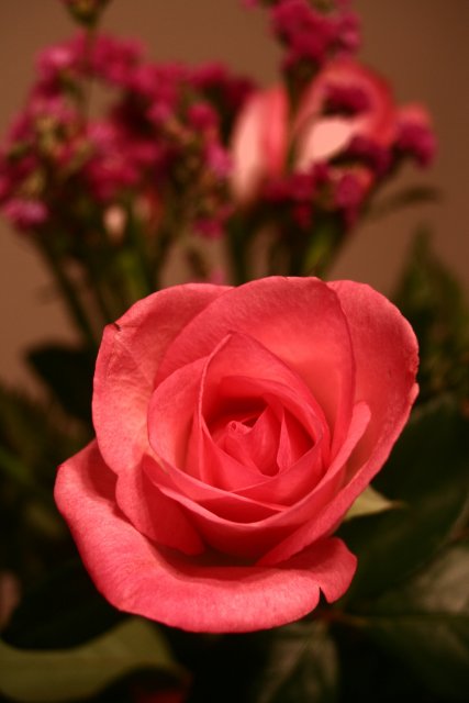 Rozen